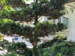 -天悦阁海景酒廊