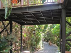 -亚龙湾热带天堂森林公园