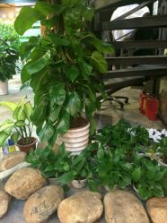 -苏奇发型·烫发染发