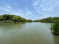 -沙家浜风景区