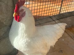 -北京市海淀外国语实验学校