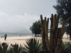 -花海间·即刻露营