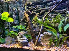 -上海海洋水族馆