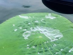 -天鹅湖体育公园