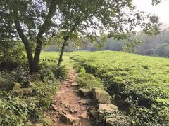 -虞山风景区