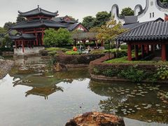 -广东花都湖国家湿地公园
