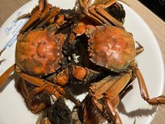 -星伦多自助料理(爱琴海店)