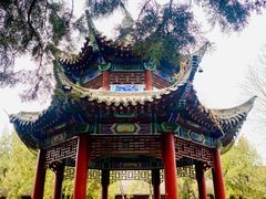 -洛阳白马寺