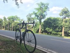 -松山湖南湖湾露营营地