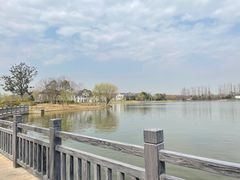 -上海长兴岛郊野公园