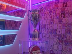 -翼速篮球·少儿篮球培训·中考体育(贵和店·原鲁能城店)