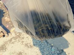 -香雪海