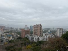 -福道