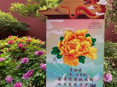 -北京市劳动人民文化宫(太庙)