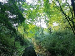 -桃花岭景区