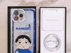 -Apple零售店(成都太古里店)