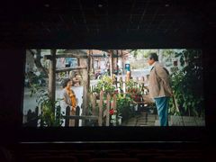 -万达影城(长沙婚庆公园中国巨幕店)