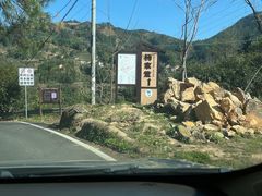 -杨家堂村
