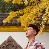 成都拍照｜这里的银杏有股禅意