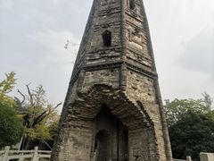 -上海佘山国家森林公园天马山园