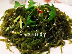 凉拌鲜海草-万山楼海鲜酒家·二十三年老字号