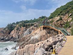 -广东惠东海龟国家级自然保护区