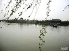 -南汇桃花村