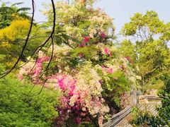 -深圳国际园林花卉博览园