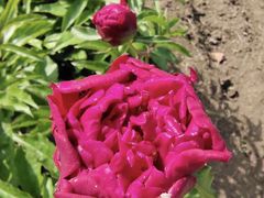 -长春公园(普阳街道)