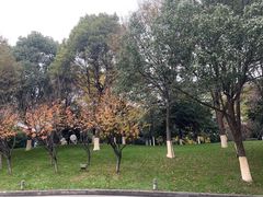 -天目湖御水温泉·度假酒店