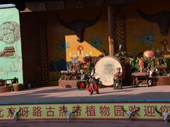 -呀路古热带植物园