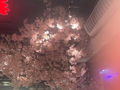 -熊记虾王·小龙虾(东晓南店)