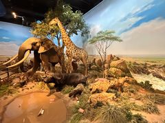 -陕西自然博物馆