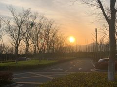 -长田漾湿地公园