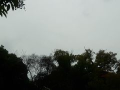 -江心屿景区