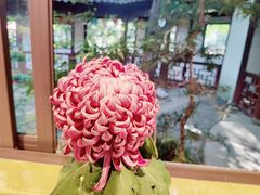 -汇龙潭