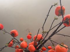 -百纳·锦绣江南 (百纳瑞汀酒店)