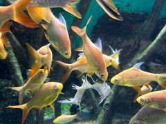 -常州海昌海洋探索馆