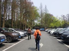 -苏堤停车场