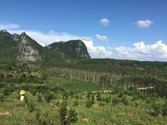 纪念品背景图-钟山水墨田园
