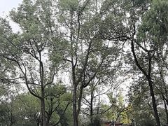 -房湖公园