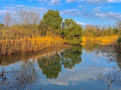 -西溪国家湿地公园