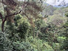 -芦仙山景区-飞越丛林探险乐园