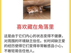 -瑞派名望24h动物医院异宠专科·猫专科·骨科·重症监护分院