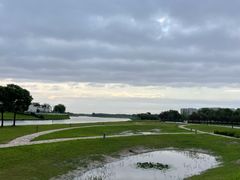 -春花秋色城市公园