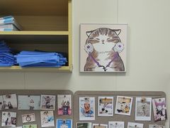 -美联众合动物医院·24h京西诊疗中心