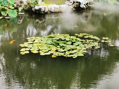 -杭州西湖柳莺里酒店