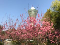 -狐尾山公园
