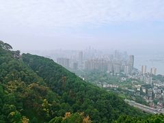 -南山植物园