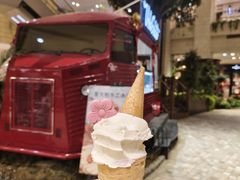 -Vola Gelato意大利手工冰淇淋(朝阳大悦城店)